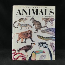 动物百科全书 千余幅彩色插图 精装大16开