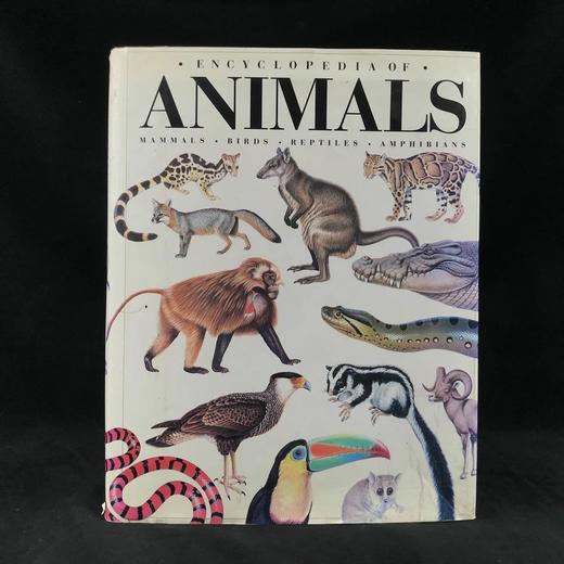 动物百科全书 千余幅彩色插图 精装大16开 商品图0