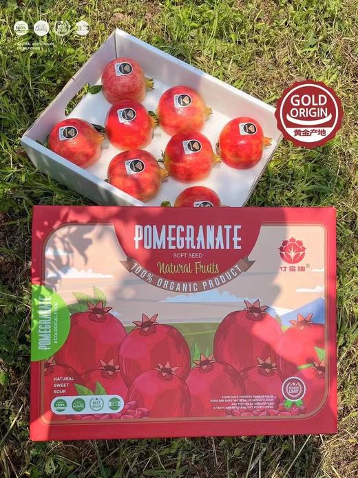 寸金地石榴 商品图0