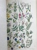 1860年 英国野花图鉴 80页套色版画插图 漆布精装18开 商品缩略图10