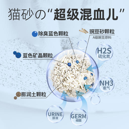 babybabe猫砂A级豌豆膨润土无尘除臭去味抑菌豆腐混合植物猫砂 商品图2
