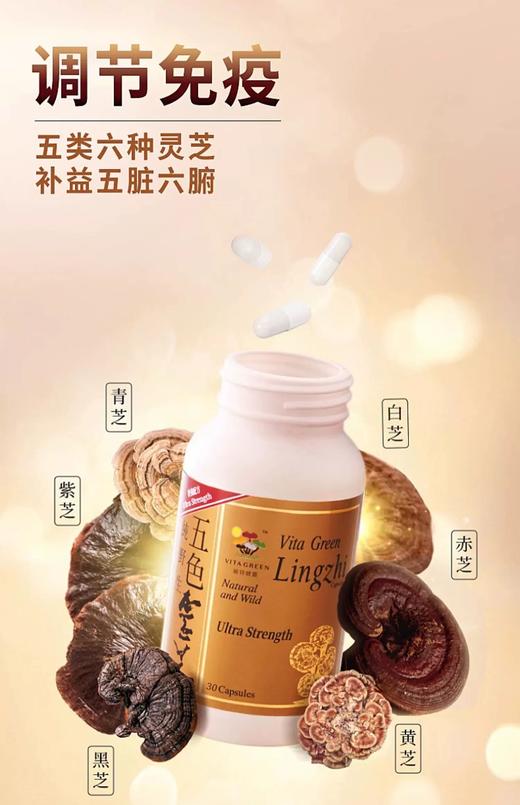 维特健灵五色灵芝30粒/72粒    A-4951（效期30粒27-10；72粒29-5） 商品图2