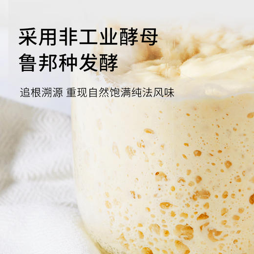 吾双国王金棍天然鲁邦种手作法包欧包早晚餐全麦硬式法棍面包 商品图2