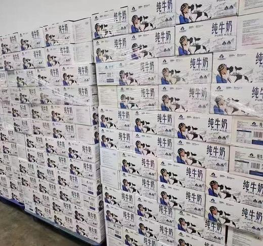 云边的卓玛 纯牛奶200ml*10/箱 商品图1