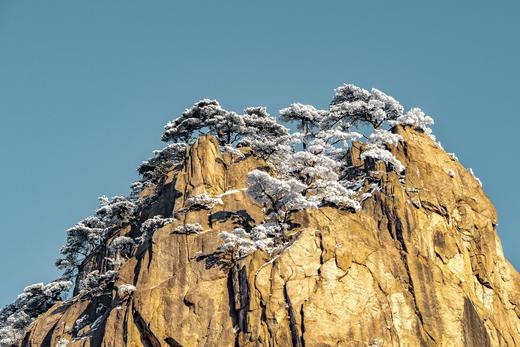 黄山雾凇、雪松、云海、日出日落、徽派宏村六天摄影团 商品图6