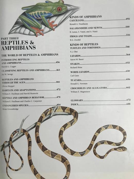 动物百科全书 千余幅彩色插图 精装大16开 商品图6