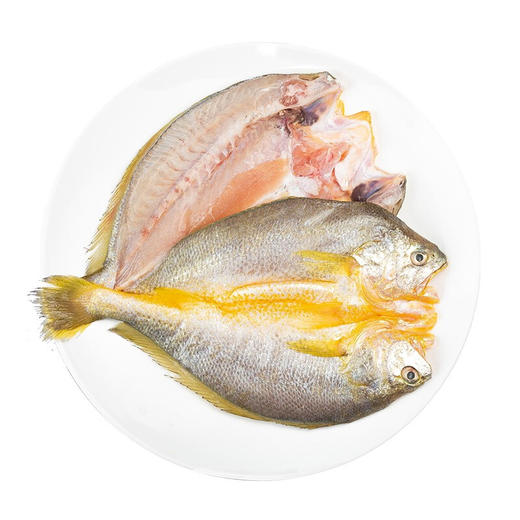 【黄鱼鲞黄花鱼】东海黄鱼鲞 肉质鲜嫩，微盐调味，免洗免杀，开袋即烹饪，250g/袋 商品图2