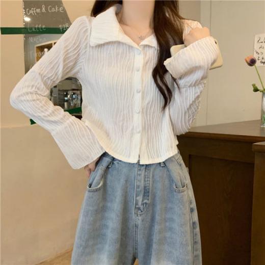 【波浪纹长袖衬衫】秋季新款 休闲时尚百搭长袖短款别致小衫上衣潮  商品图4