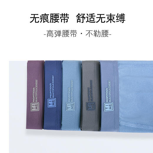 【柔软舒适5条装】男士经典莫代尔棉javascript:;内裤（4-810） 商品图5