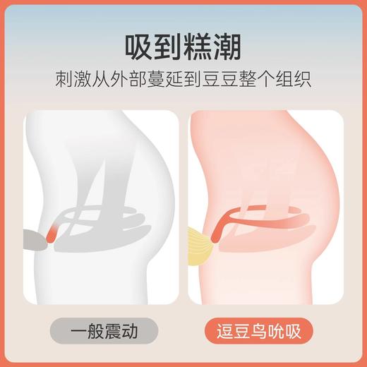 逗豆鸟 | 德国红点设计大奖 商品图4