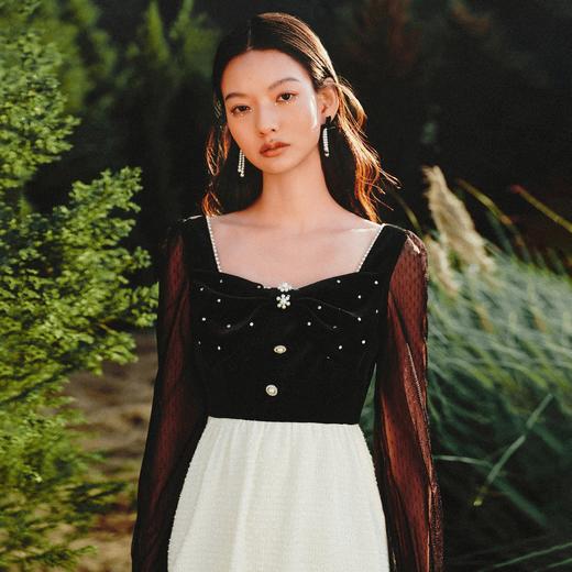 【波动心弦】MAXRIENY甜美复古感丝绒裙秋季拼接花纱连衣裙(货号:MS88DR031) 商品图0