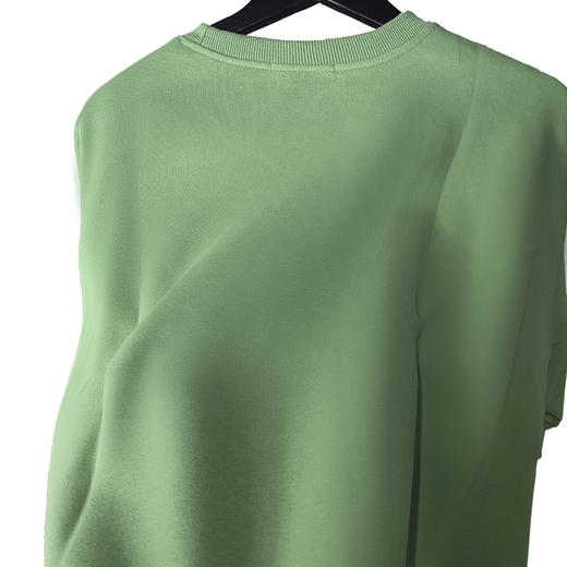 SZ2675圆领刺绣高级感卫衣纯棉女款上衣宽松时尚潮流卫衣 商品图1