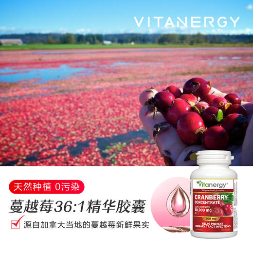 【同款拍2发3】【保税直发】加拿大维生能进口蔓越莓精华胶囊 90粒/瓶女性保养保健品【效期至2027年6月】 商品图3