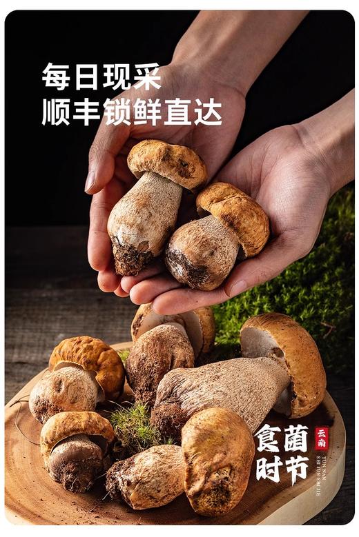 中秋超值豪华礼享价，款款珍味食材， 更多组合你说了算 商品图11