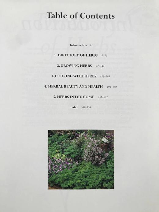 草药之书（辞典，种植，烹饪，功效） 数千幅彩色插图 精装16开 商品图5