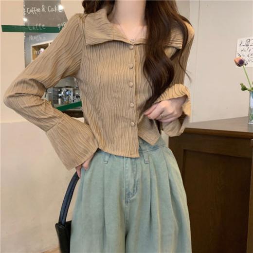 【波浪纹长袖衬衫】秋季新款 休闲时尚百搭长袖短款别致小衫上衣潮  商品图6