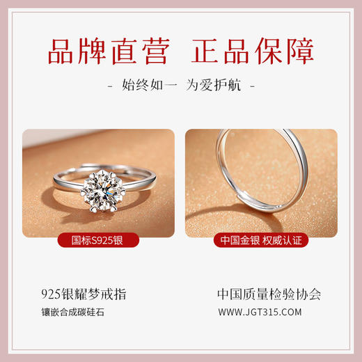 Winy925纯银耀梦戒指送女友闺蜜节日生日礼物 商品图6
