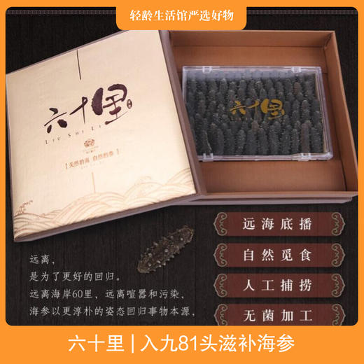 六十里 | 入九81头滋补海参 商品图0