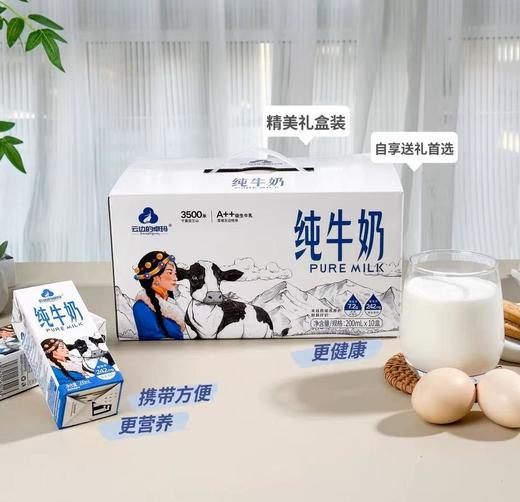云边的卓玛 纯牛奶200ml*10/箱 商品图0