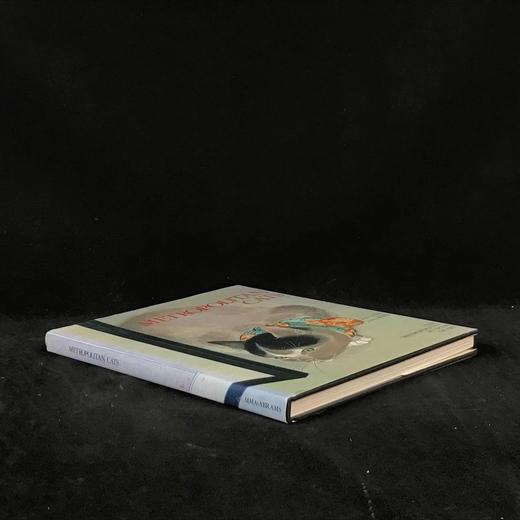 大都会博物馆藏品中的猫 百余幅精美插图 精装大16开 商品图1