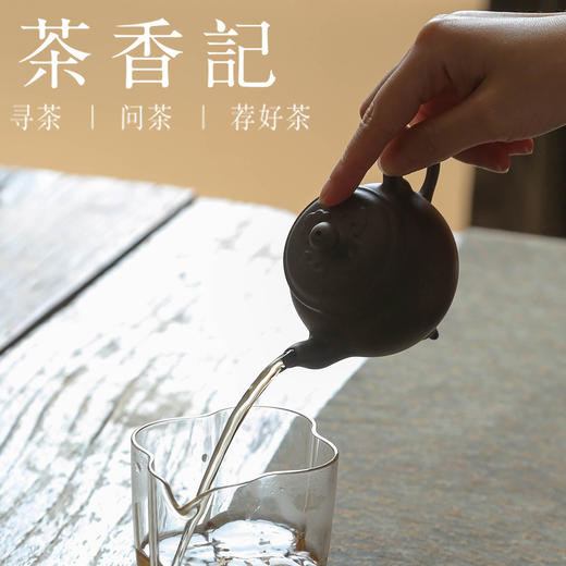 茶香记 紫砂壶 黑墩头 大彬三足小如意 深沉大气 泡茶壶 功夫茶具 商品图4
