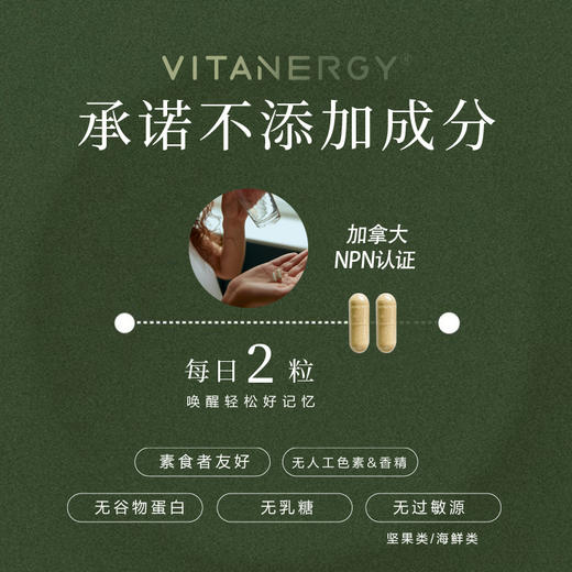 【同款拍2发3】【保税直发】加拿大维生能进口银杏叶记忆力精华胶囊【效期至2026年6月】 商品图2