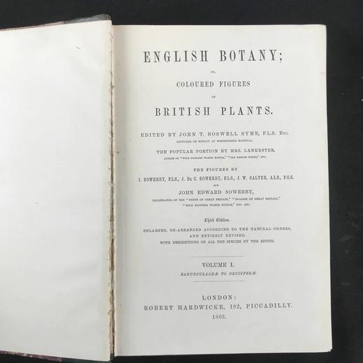 1863-1886年 英国植物志（全12卷）2560幅手工上色版画插图 真皮精装16开 商品图3