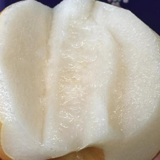 Sc秋月梨 商品图1