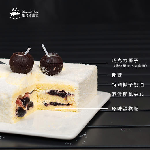 椰风岛屿 商品图1