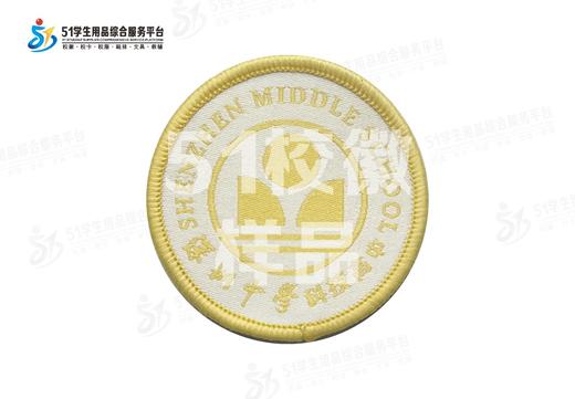 通版深圳市深圳中学科技高中校徽布标姓名贴章可缝可烫现货现发51 商品图1