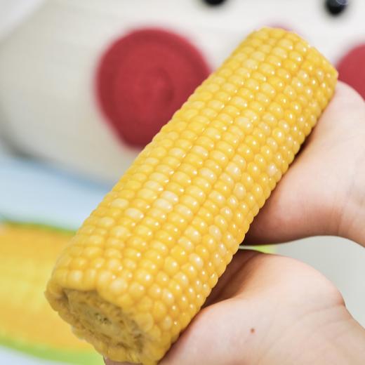 🌽早安大苞米 · 颗颗饱满 · 软糯香甜 · 母婴级品质 商品图3