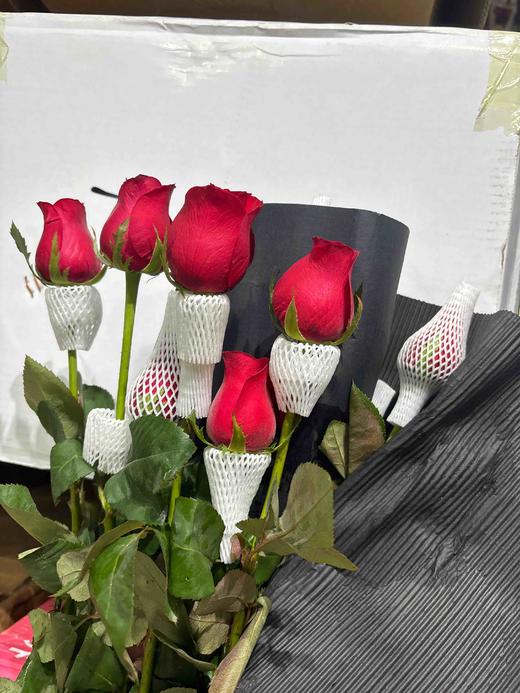 红玫自由 商品图2