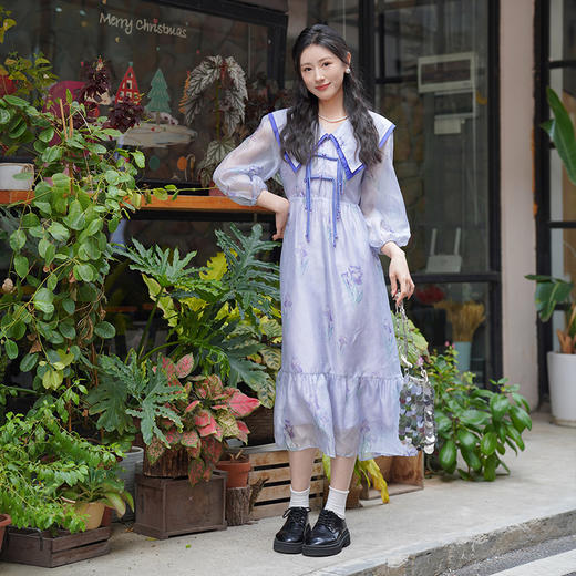 梦中鸢尾新款复古印花盘扣大翻领连衣裙 商品图0