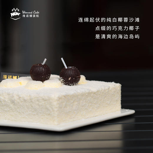 椰风岛屿 商品图2