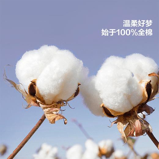 水星集团百丽丝家纺全棉四件套花楹流年 商品图1