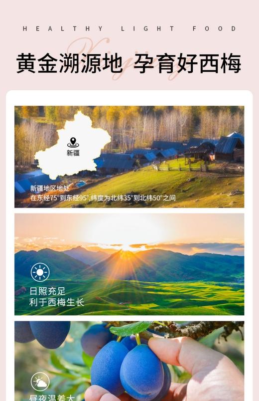 3月开始发货！新疆西梅产地直发！到手2大斤❗0添加不蜜饯富含高膳食纤维【喀什原果晾晒大西梅干】肠道清道夫~便秘克星！✅纯天然无添加0脂肪！原果晾晒！ 商品图6