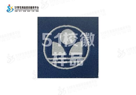 通版深圳市深圳中学科技高中校徽布标姓名贴章可缝可烫现货现发51 商品图3