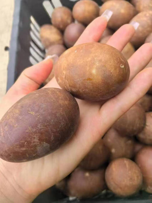 微山湖烤鸭蛋纯天然放养的鸭，每天只喝湖水，食五谷，觅虾食，这样的鸭蛋在经过烤制后，咸香柔嫩好吃不咸，取自天然，茶香四溢，个个起沙流油，美味可口，怎样吃都好吃！一组10个，大小随机！ 商品图1