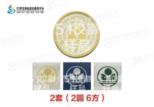 通版深圳市深圳中学科技高中校徽布标姓名贴章可缝可烫现货现发51 商品图0