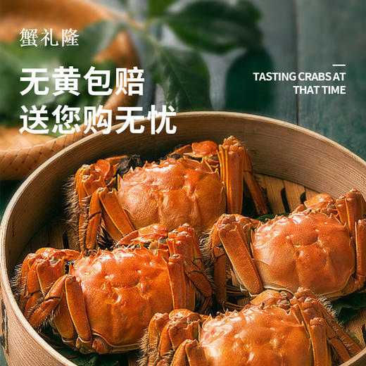 <有书独家>蟹礼隆-金秋大闸蟹  蟹礼隆中秋之礼推荐 商品图1