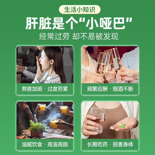 天天清护肝茶 2g/袋*6袋体验装  爱肝护肝  润肠通便 商品图2