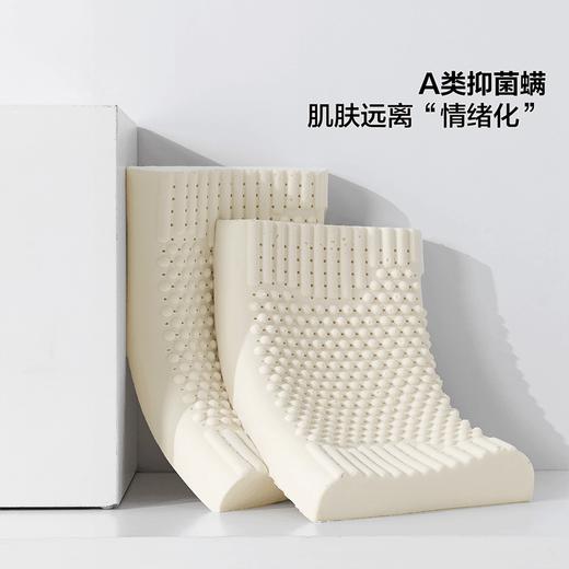 百丽丝家纺曲线型/按摩型抗菌防螨乳胶对枕 商品图2