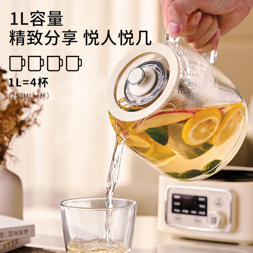 【NERF拉尔弗电器】多功能煮茶器BC-H10X 商品图0