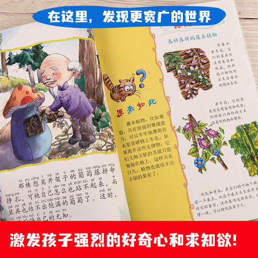 【3-9岁】《小小牛顿科普绘本》全8册 商品图5
