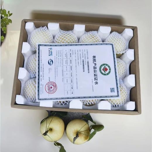 有机酵素黄金梨 商品图8