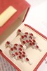 6.8ct 7.97g 红宝石耳环 商品缩略图6