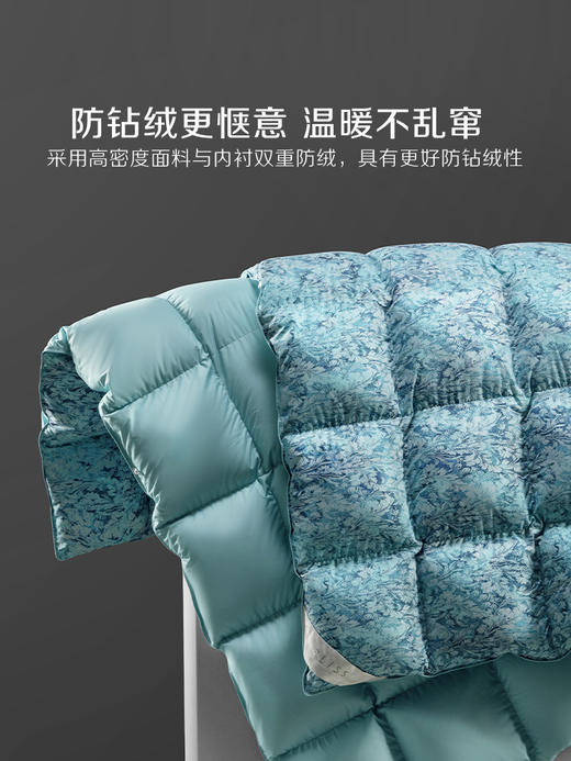 百丽丝家纺出品奥尔莱特抗菌鹅绒冬厚被 商品图3