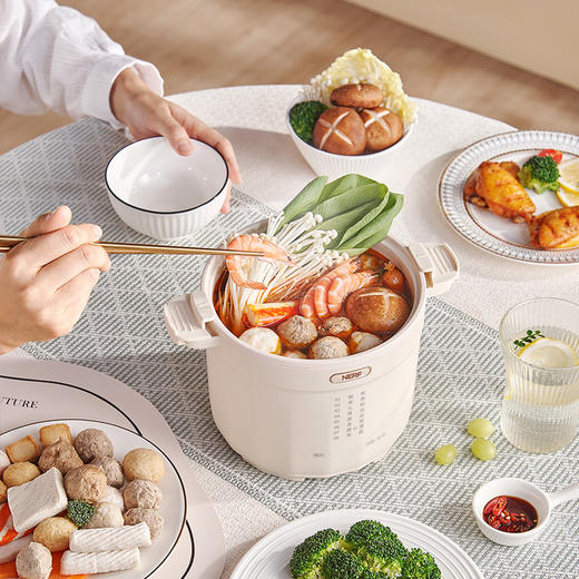 【NERF 拉尔弗电器】多功能微压锅-XM-WY15 商品图2