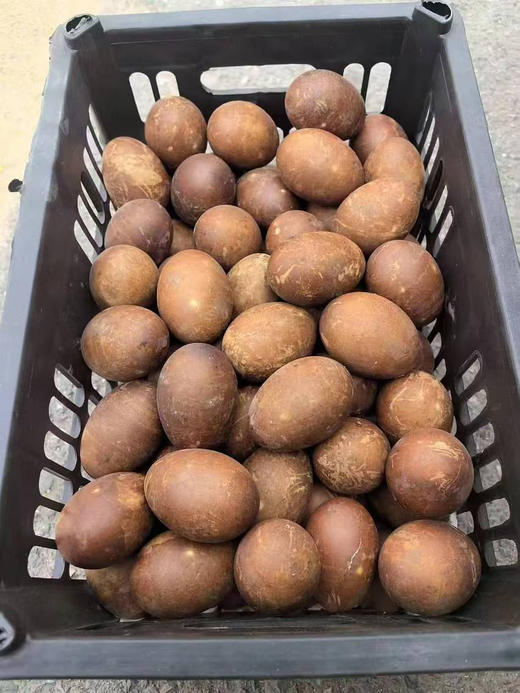 微山湖烤鸭蛋纯天然放养的鸭，每天只喝湖水，食五谷，觅虾食，这样的鸭蛋在经过烤制后，咸香柔嫩好吃不咸，取自天然，茶香四溢，个个起沙流油，美味可口，怎样吃都好吃！一组10个，大小随机！ 商品图2