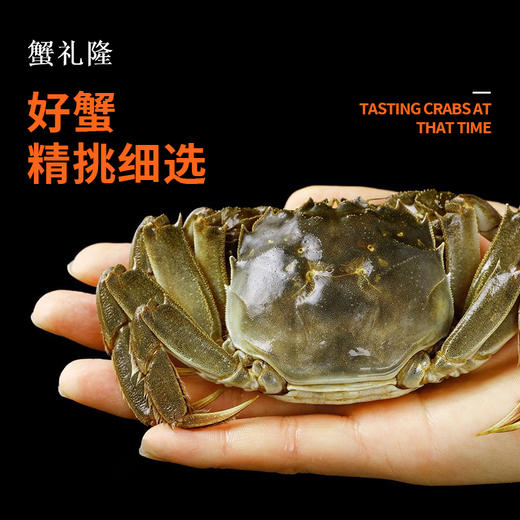 <有书独家>蟹礼隆-金秋大闸蟹  蟹礼隆中秋之礼推荐 商品图7